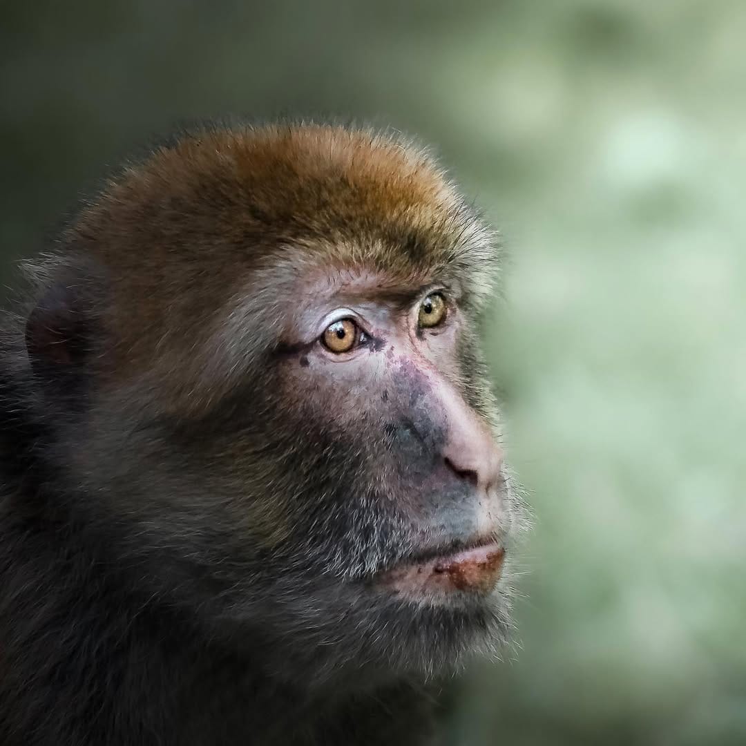 Post 6 by Charles Groc de Salmiech on Instagram (image)