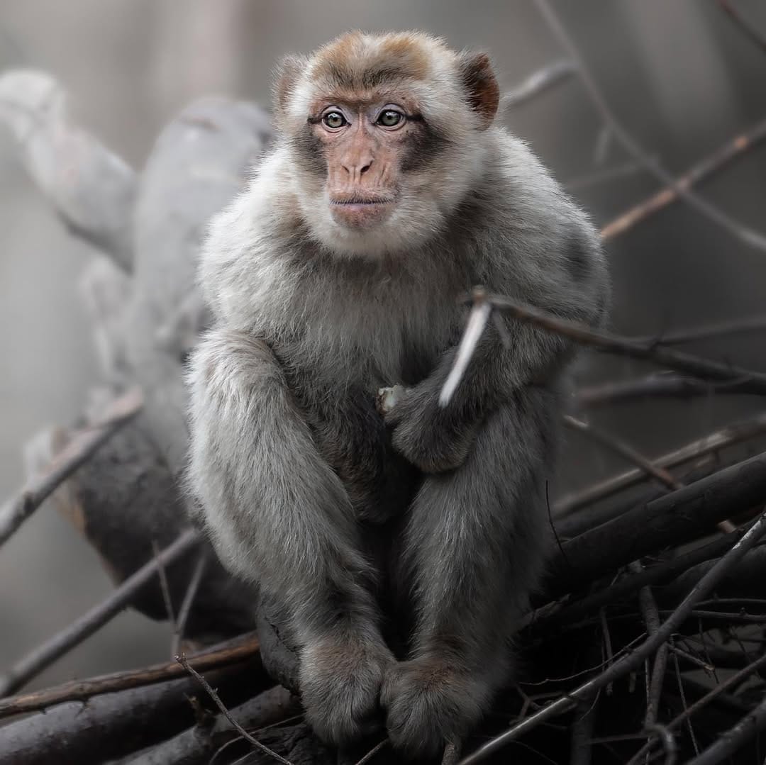 Post 10 by Charles Groc de Salmiech on Instagram (image)