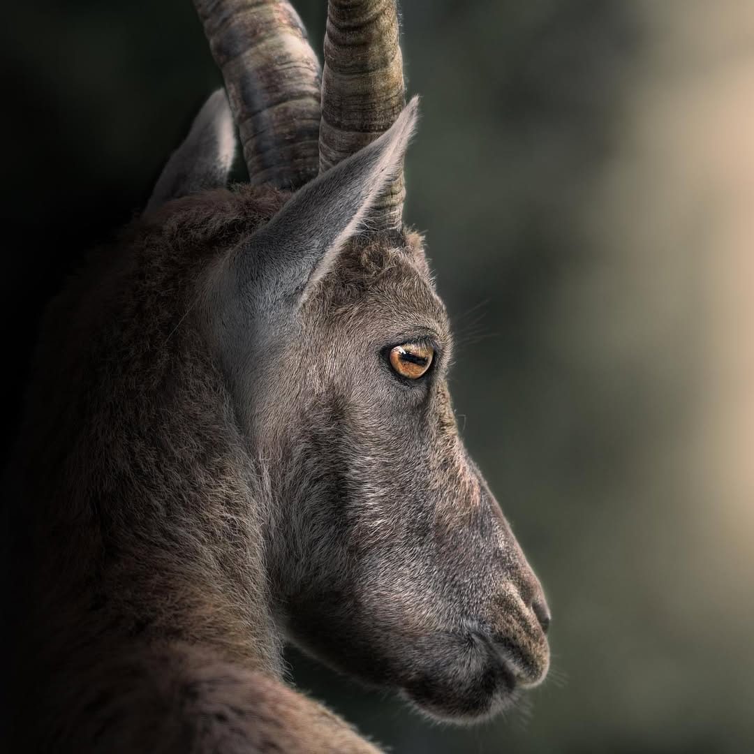 Post 8 by Charles Groc de Salmiech on Instagram (image)