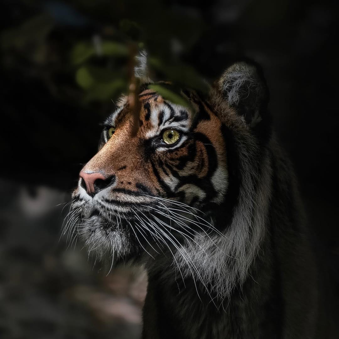 Post 9 by Charles Groc de Salmiech on Instagram (image)