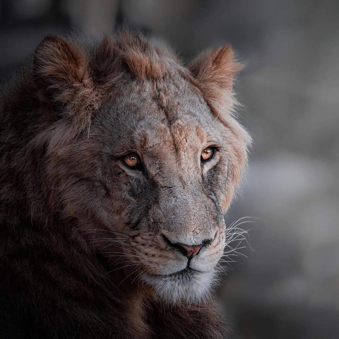 Post 4 by Charles Groc de Salmiech on Instagram (image)