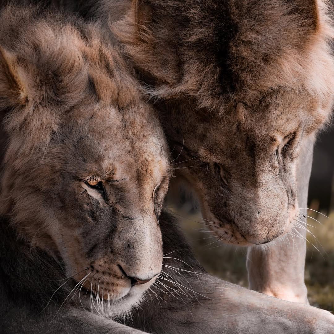 Post 7 by Charles Groc de Salmiech on Instagram (image)