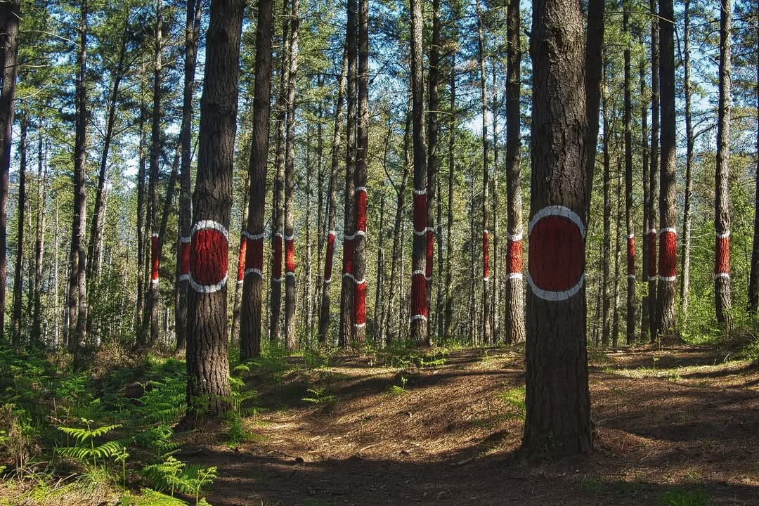 Post 2 by photography Txaber on Instagram (image)