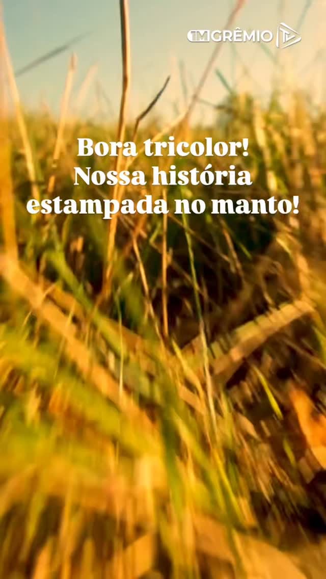 Post 5 by Grêmio Mania Iguatemi on Instagram (video)