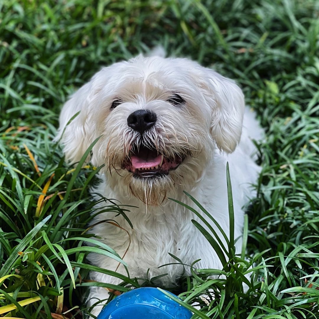 Post 1 by Quigley Argos Moore on Instagram (image)