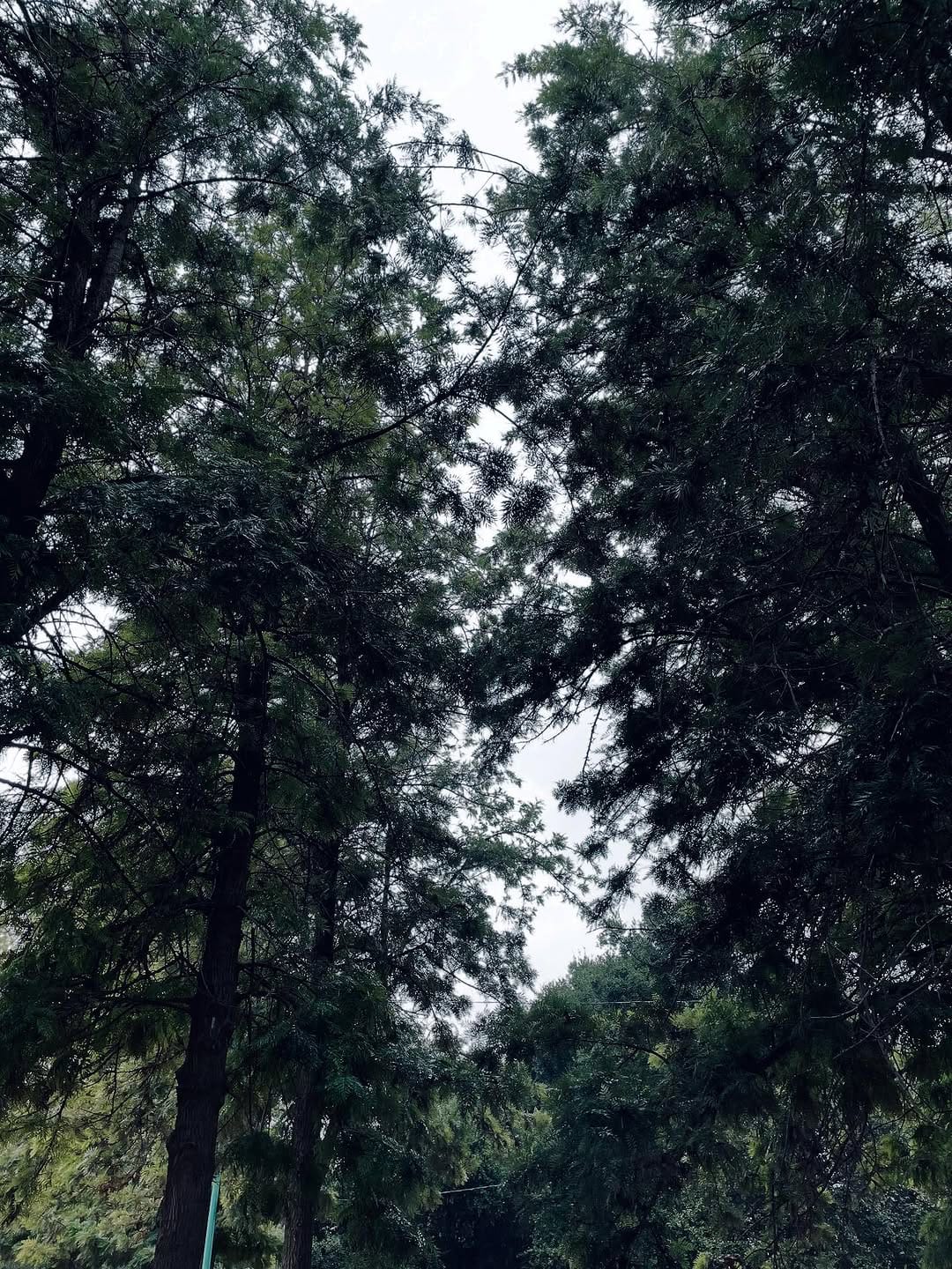 Post 6 by DIANA AR on Instagram (carousel)