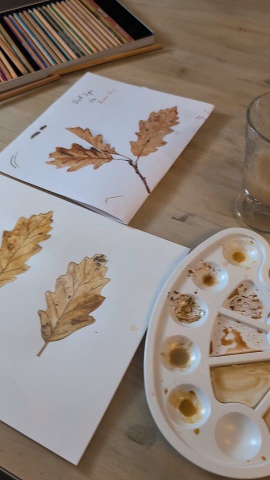 Post 10 by Boudoir du Chaman on Instagram (video)