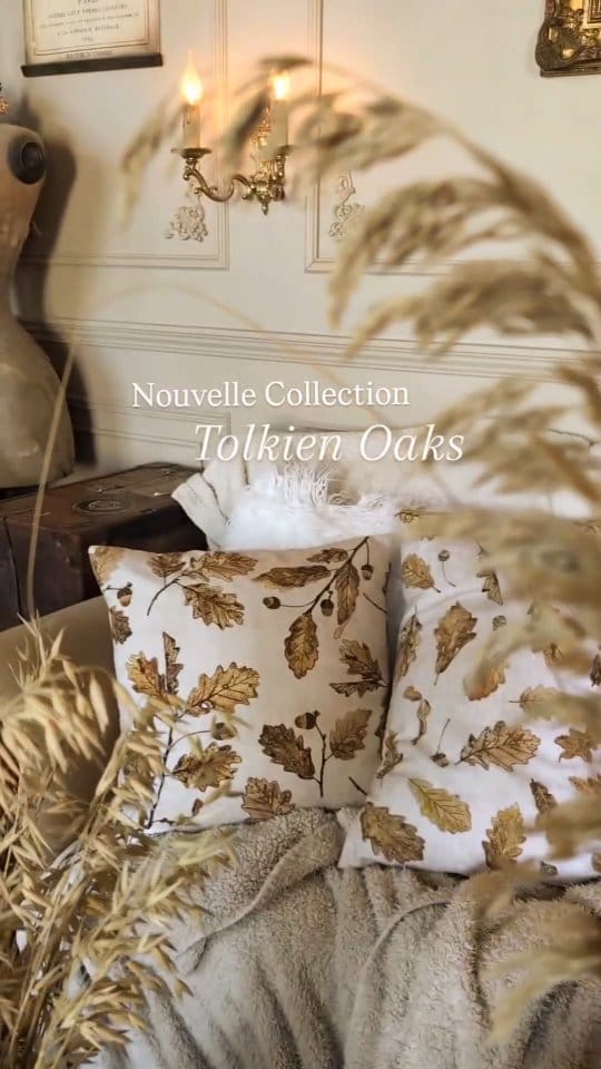 Post 8 by Boudoir du Chaman on Instagram (video)