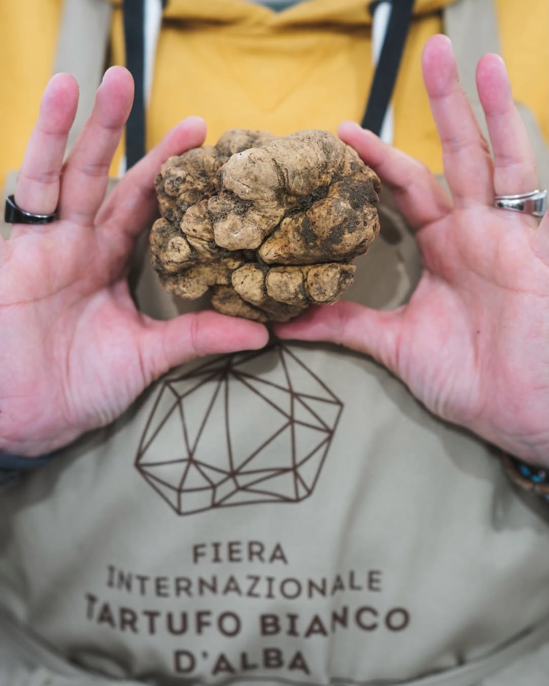 Post 6 by Fiera Internazionale del Tartufo Bianco d’Alba on Instagram (carousel)