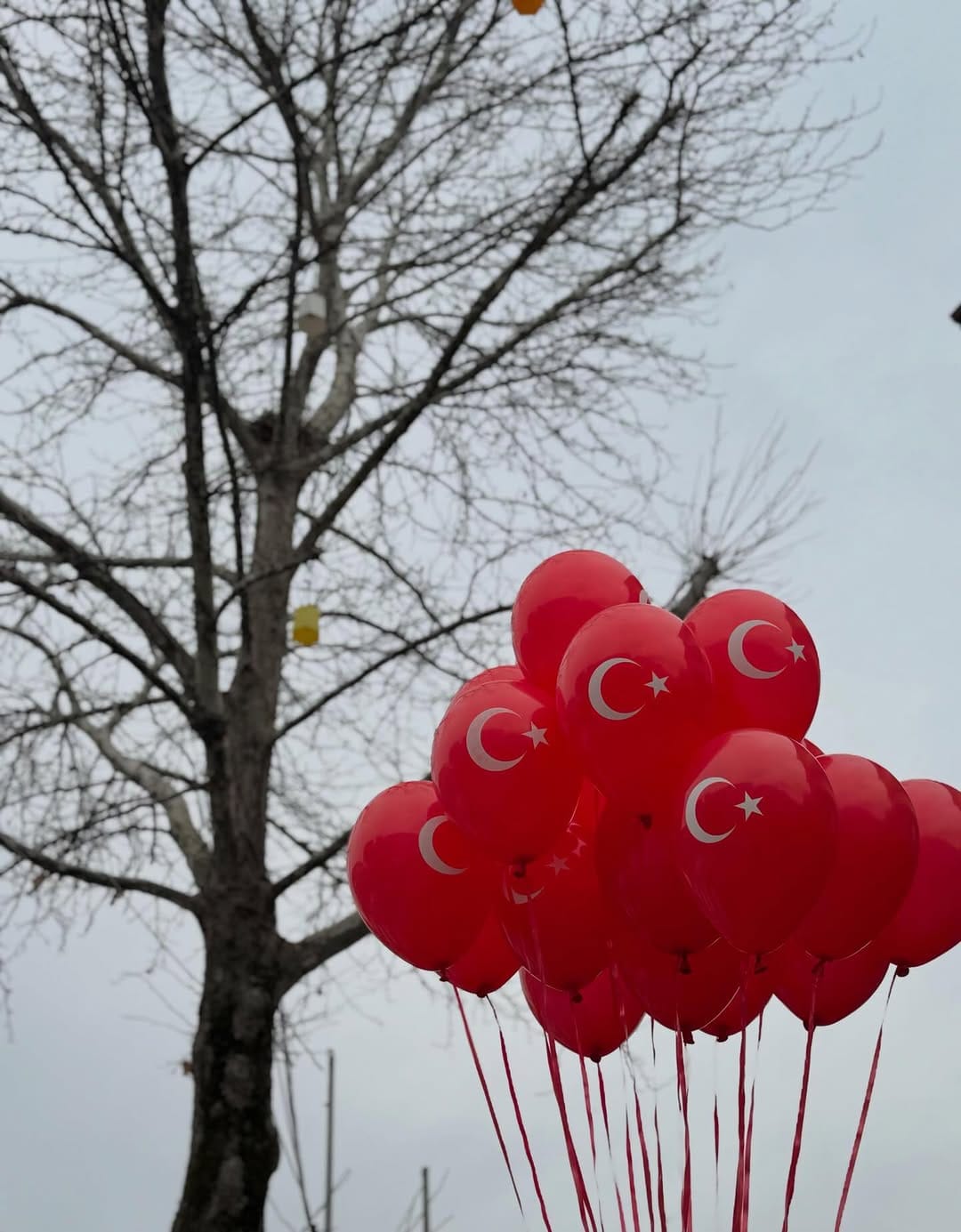 Post 4 by Partiizmit on Instagram (image)