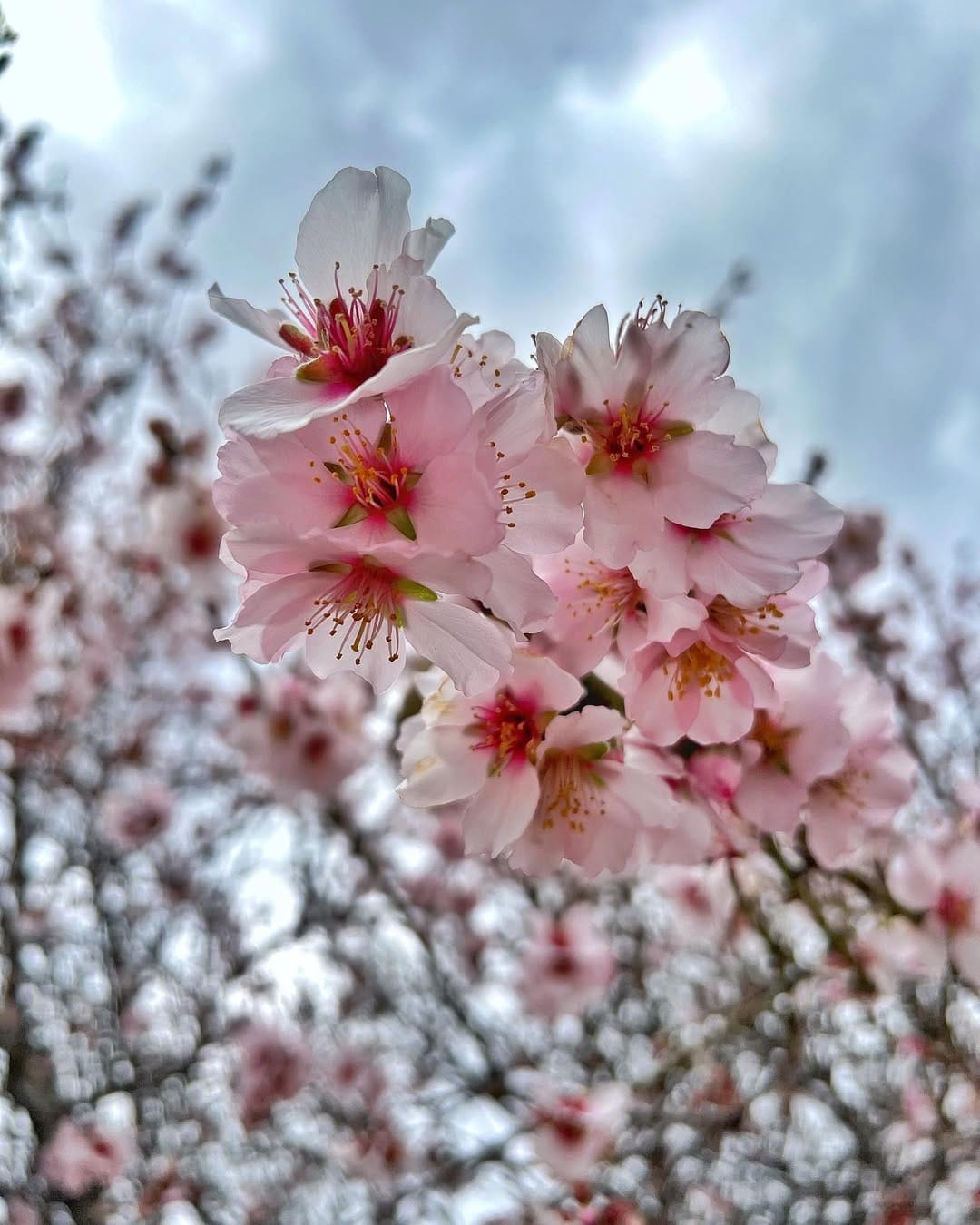 Post 1 by Haridian Alamo (Hari) on Instagram (image)