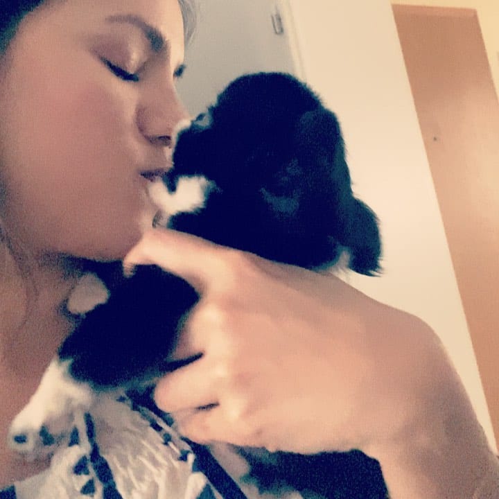 Post 2 by MILO on Instagram (video)