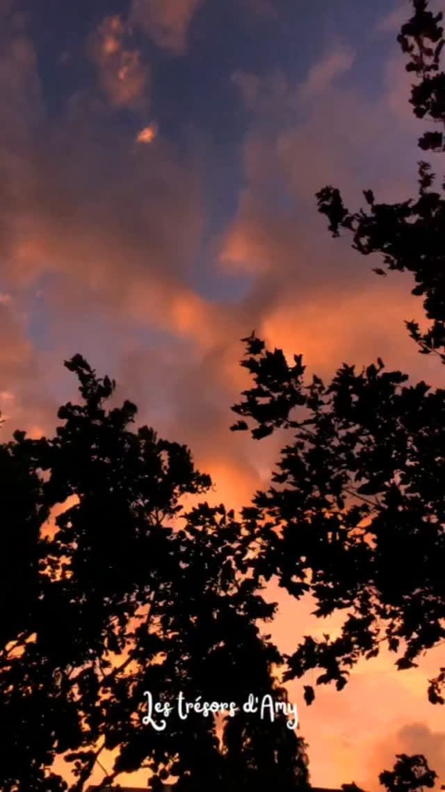 Post 6 by Amélie on Instagram (video)