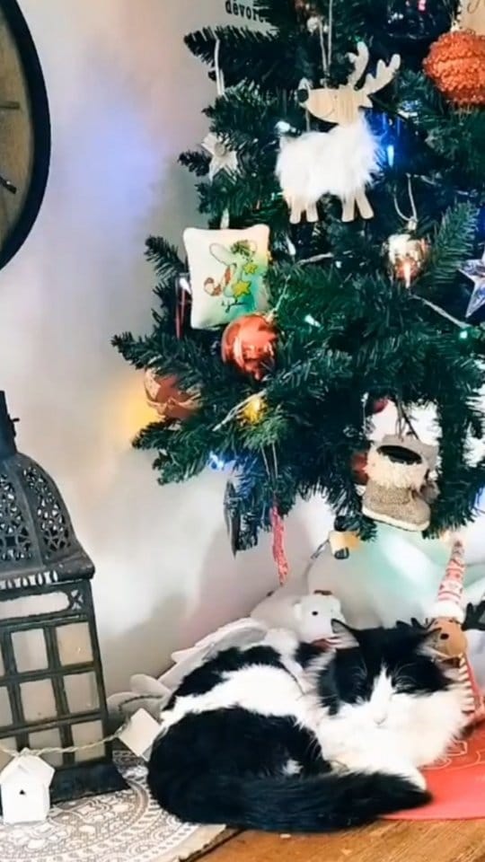 Post 10 by Amélie on Instagram (video)