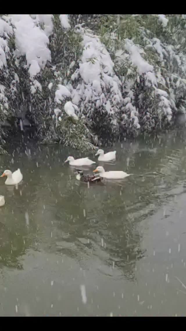 Post 5 by Elif Gülsün on Instagram (video)
