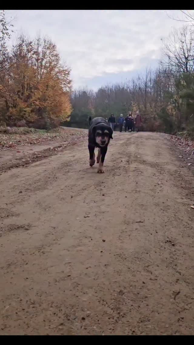 Post 10 by Elif Gülsün on Instagram (video)
