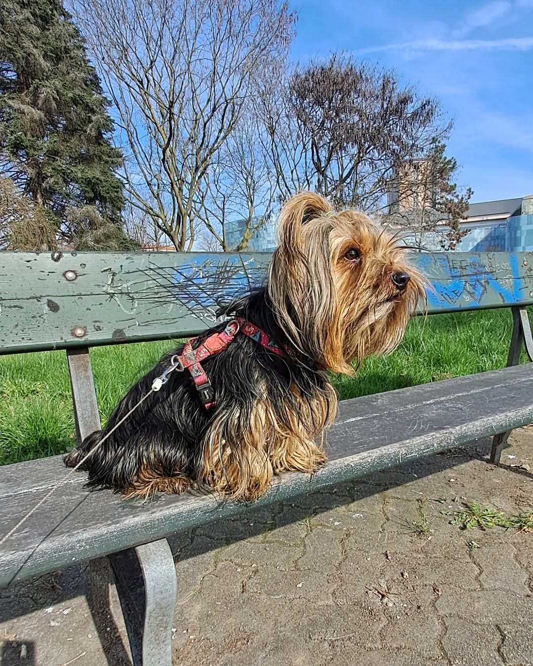 Post 7 by Meg The Tiny on Instagram (image)