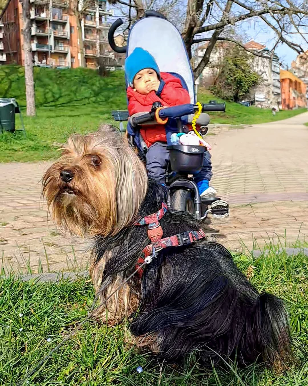 Post 6 by Meg The Tiny on Instagram (image)