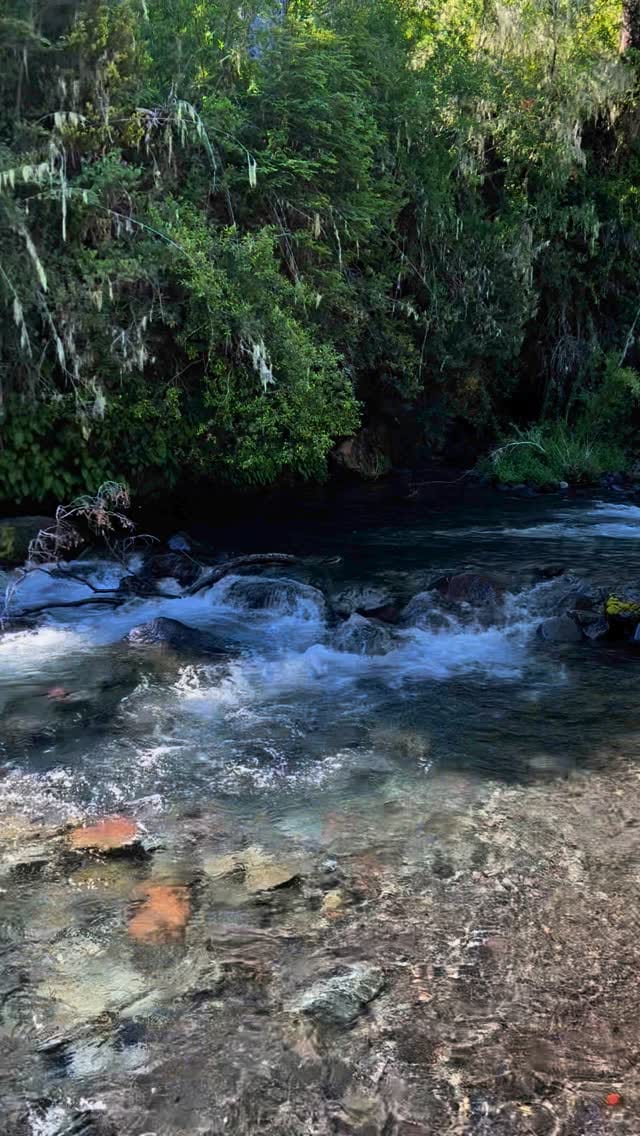 Post 9 by Christopher 🇨🇱 on Instagram (video)