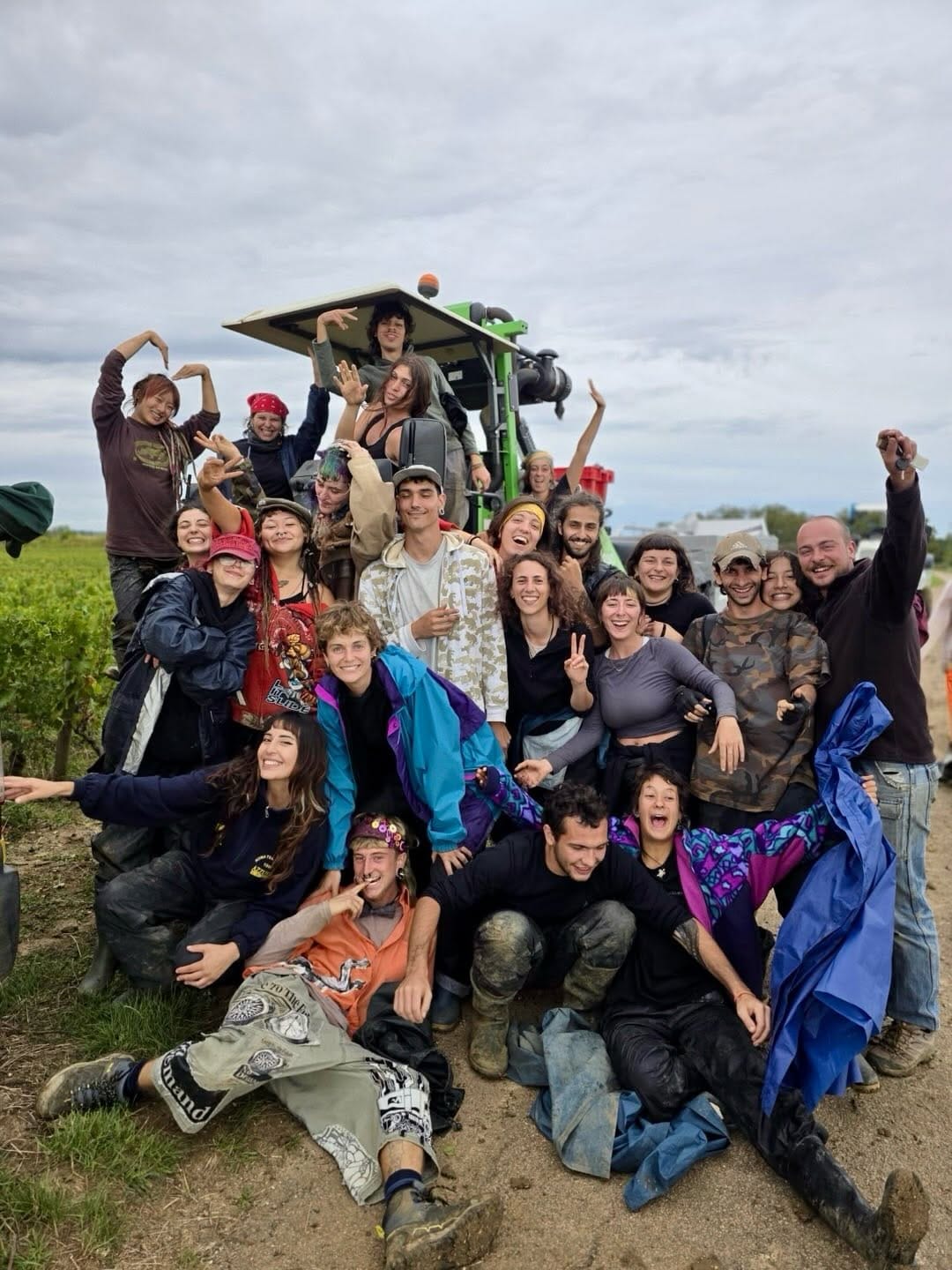 Post 3 by Domaine de Montille on Instagram (carousel)