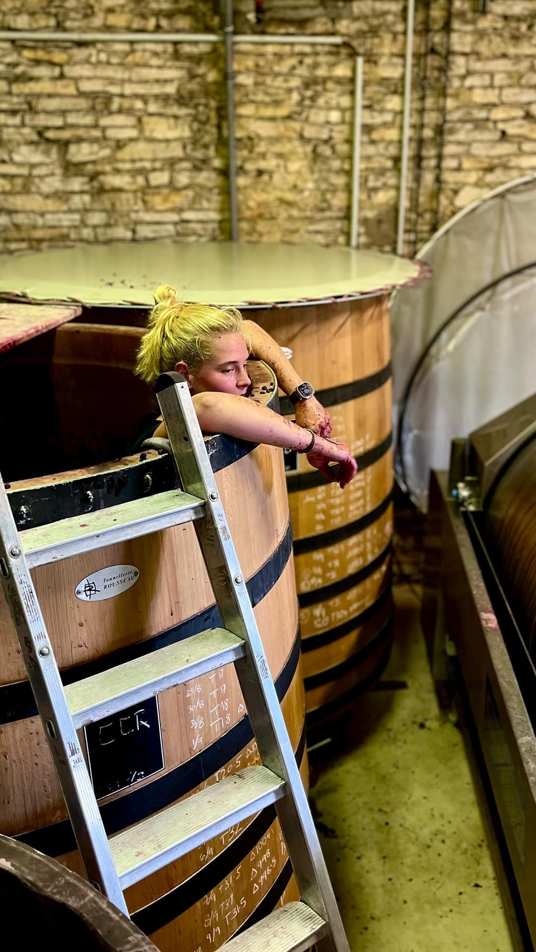 Post 8 by Domaine de Montille on Instagram (video)