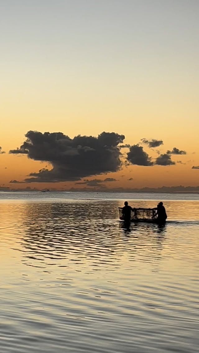 Post 9 by IG © Marie Galante ® on Instagram (video)