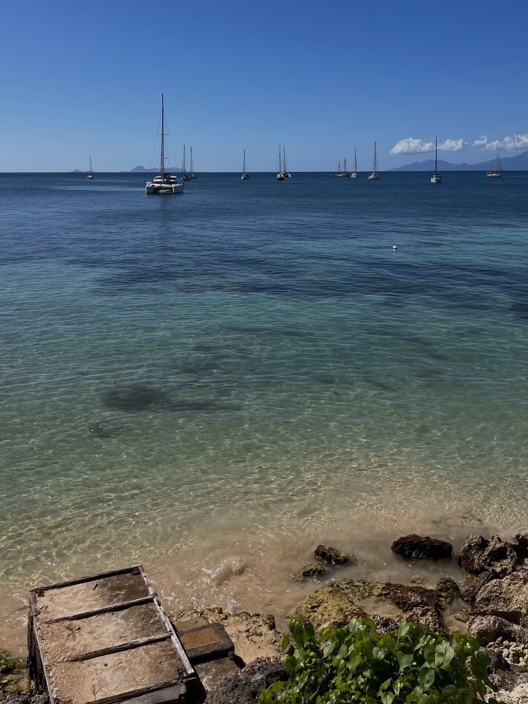 Post 10 by IG © Marie Galante ® on Instagram (image)
