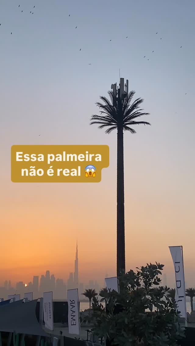Post 7 by Arquitetura De Experiências on Instagram (video)
