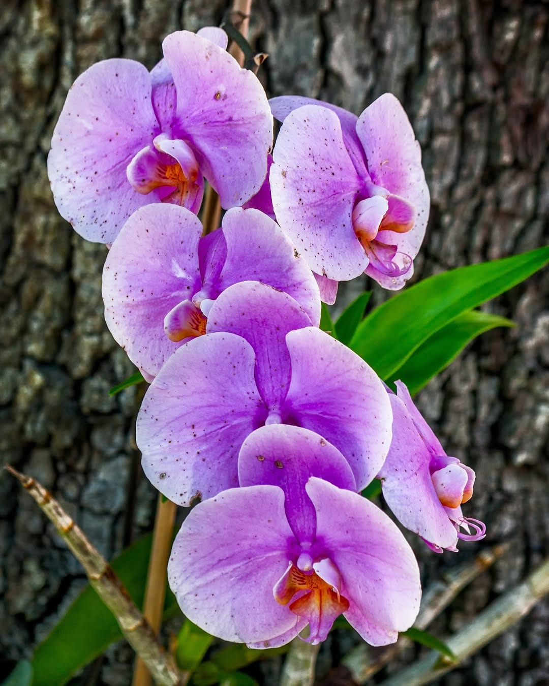 Post 8 by KEBAYA MODERN•PAYET•KAMEN JADI on Instagram (image)