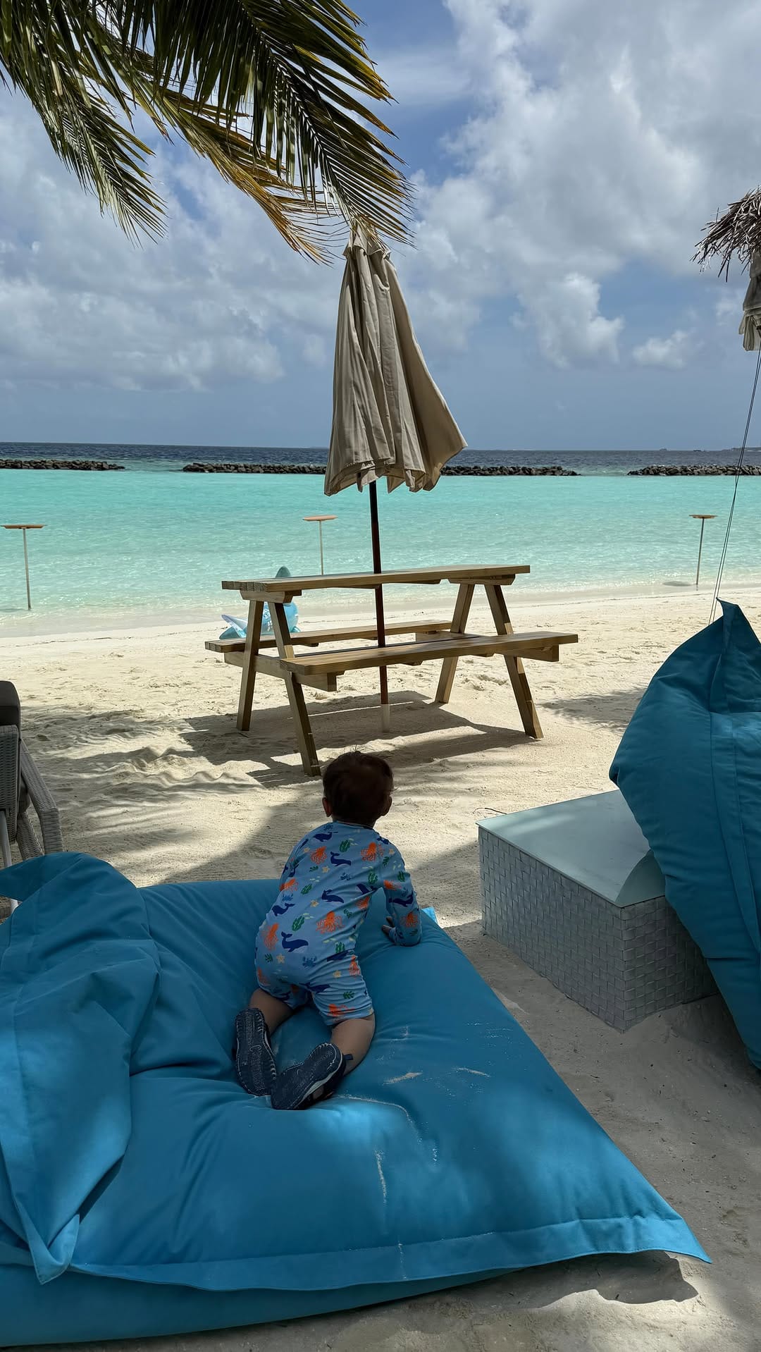 Post 7 by Ralu Chirpelean on Instagram (video)