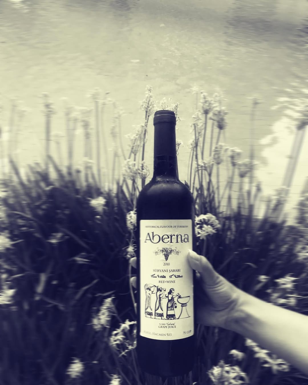 Post 6 by Aberna Süryani Şarabı on Instagram (image)