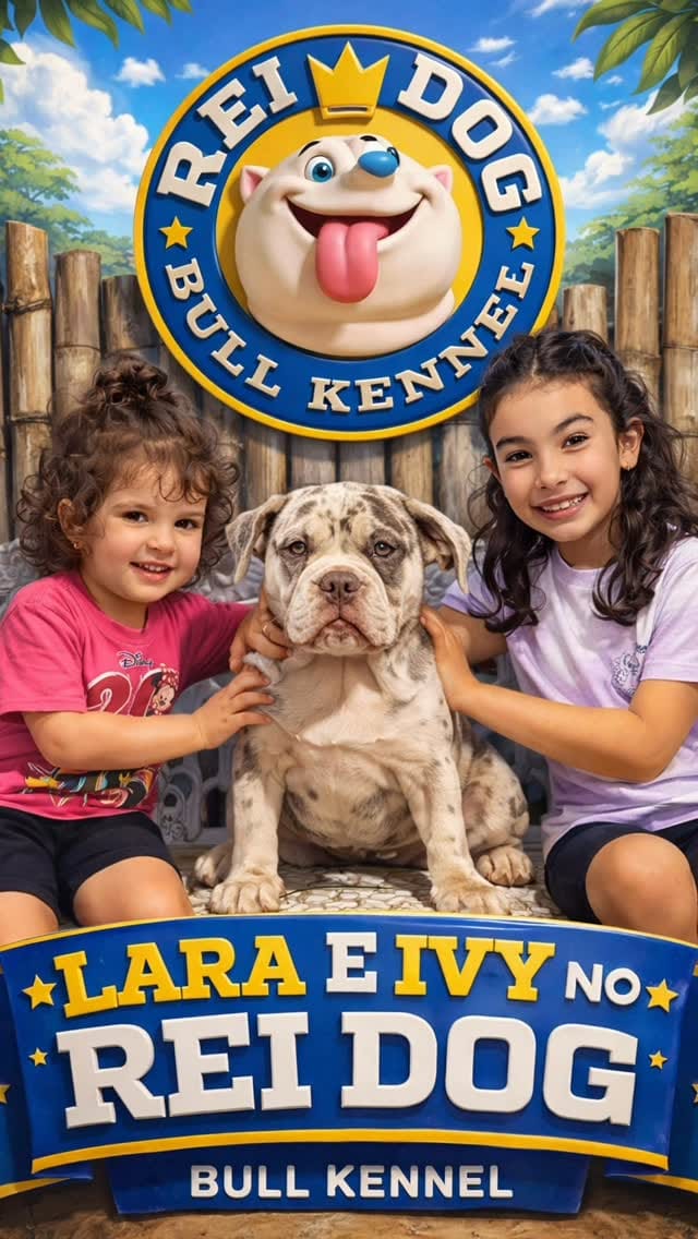 Post 6 by Rei Dog Bull Kennel on Instagram (video)