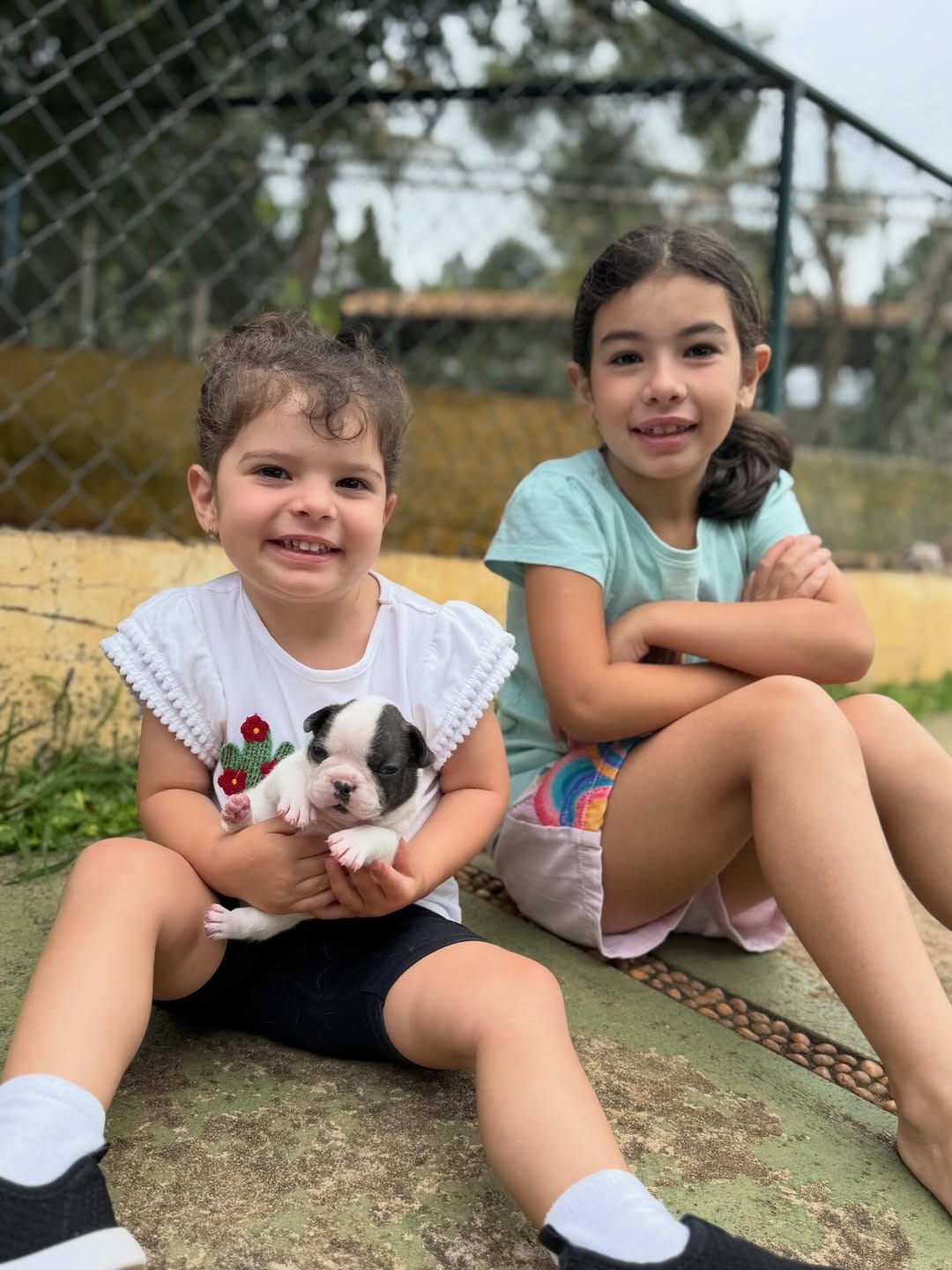 Post 4 by Rei Dog Bull Kennel on Instagram (image)