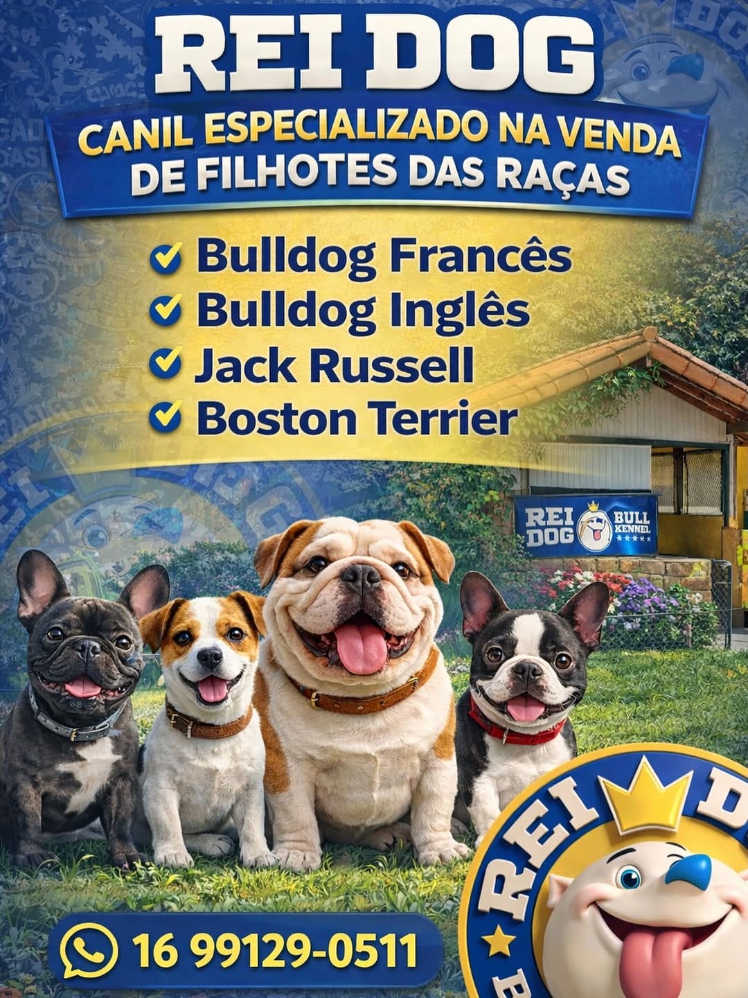 Post 7 by Rei Dog Bull Kennel on Instagram (image)