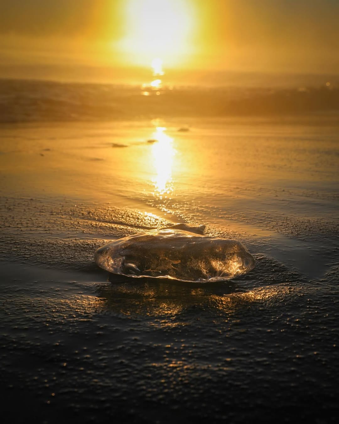 Post 4 by 𝐒𝐡𝐢𝐧𝐢𝐜𝐡𝐢 𝐓𝐚𝐤𝐚𝐲𝐚𝐦𝐚 on Instagram (image)