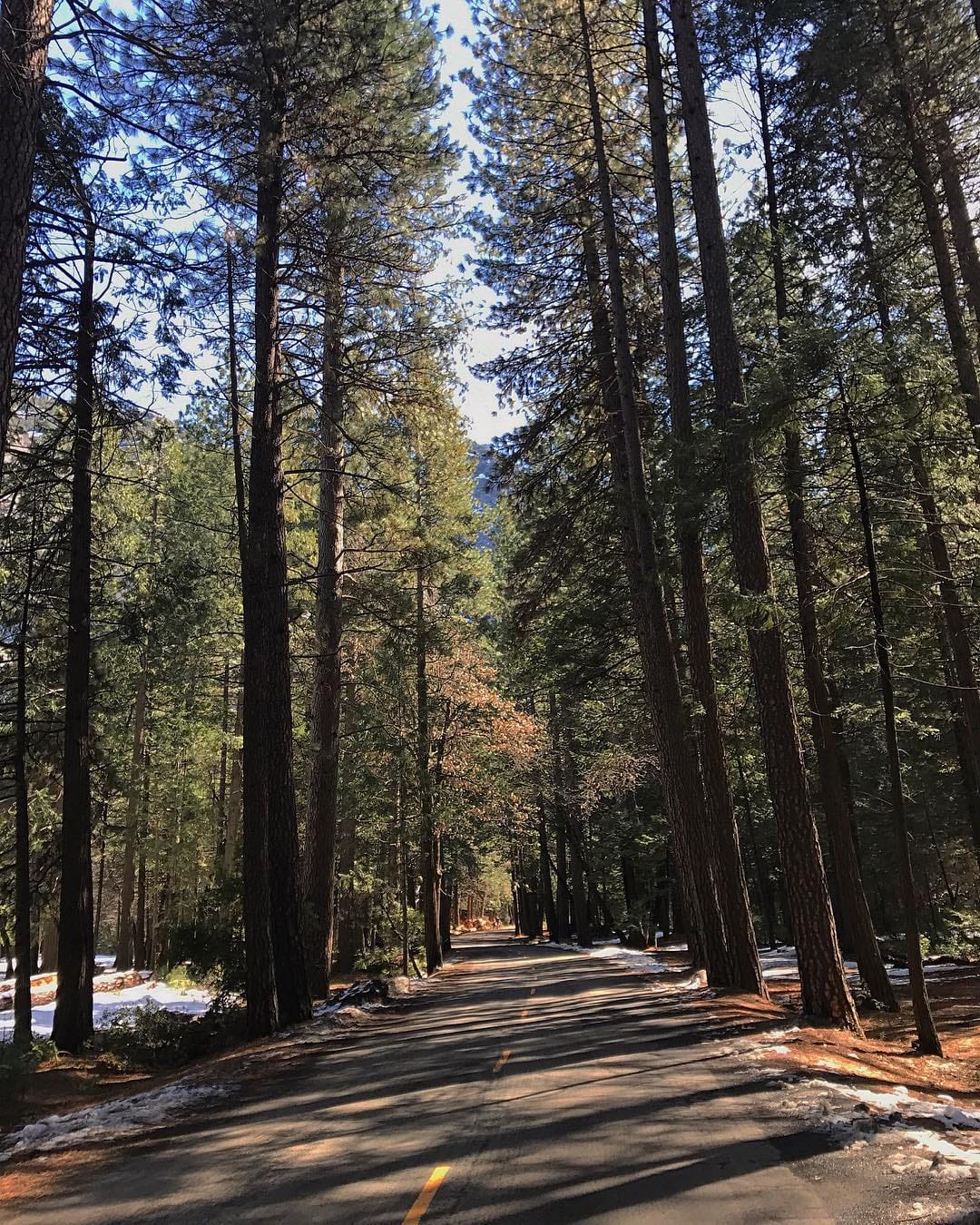 Post 9 by thomas on Instagram (image)