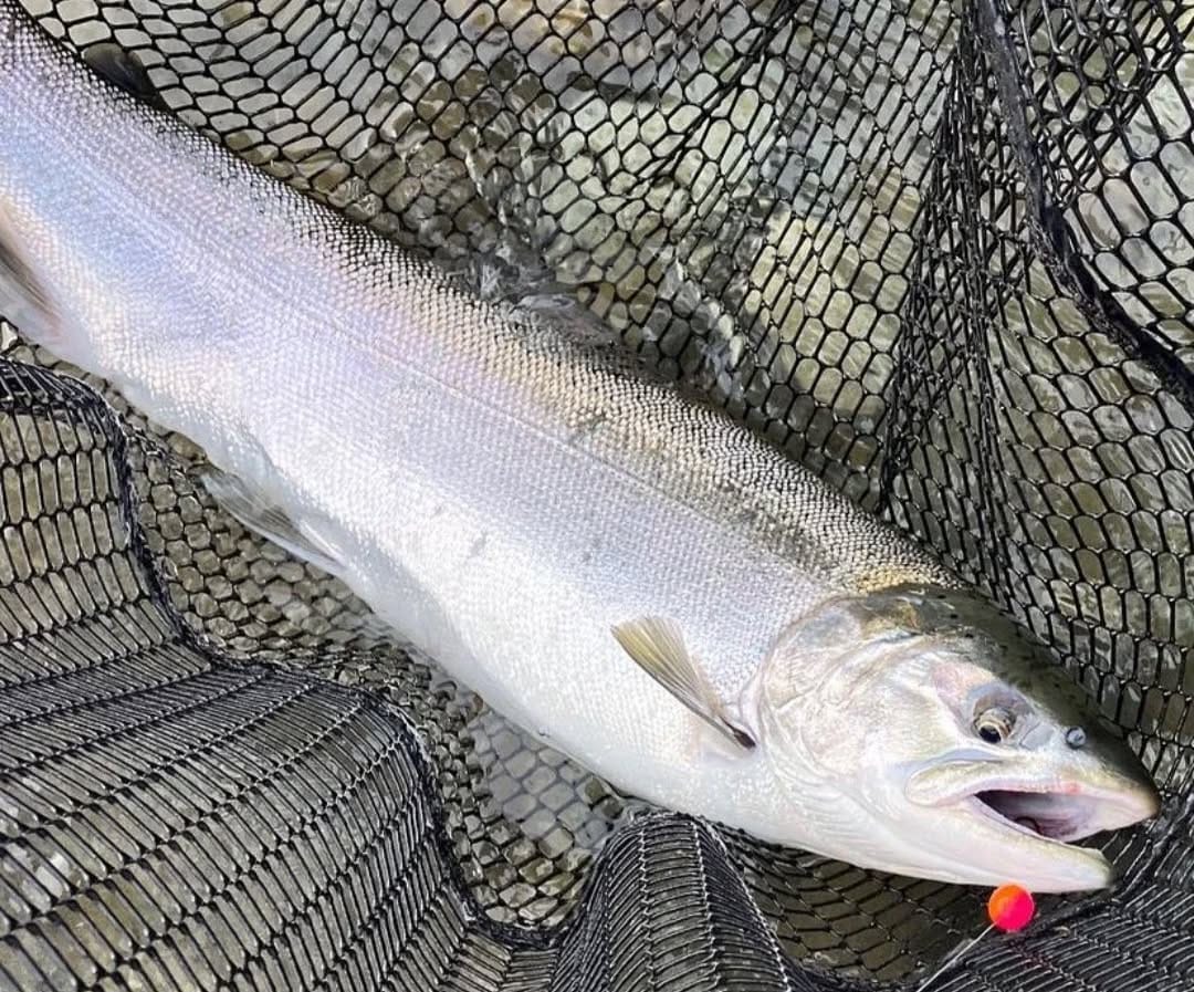 Post 10 by Cleardrift Tackle on Instagram (image)