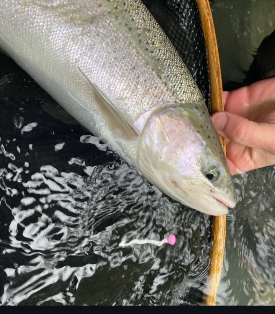Post 8 by Cleardrift Tackle on Instagram (image)