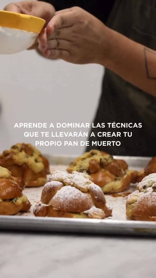 Post 10 by XOCLAD on Instagram (video)