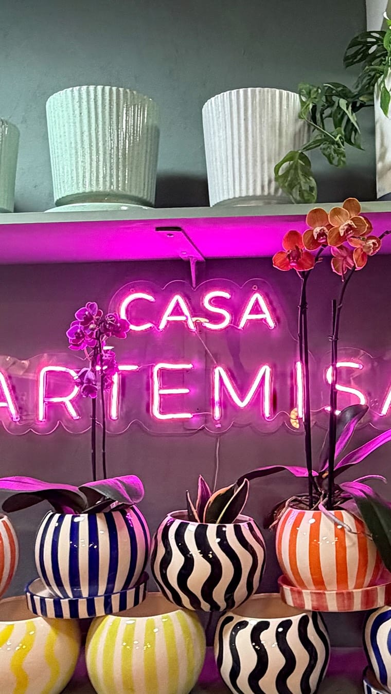 Post 8 by Casa Artemisa®️ on Instagram (video)