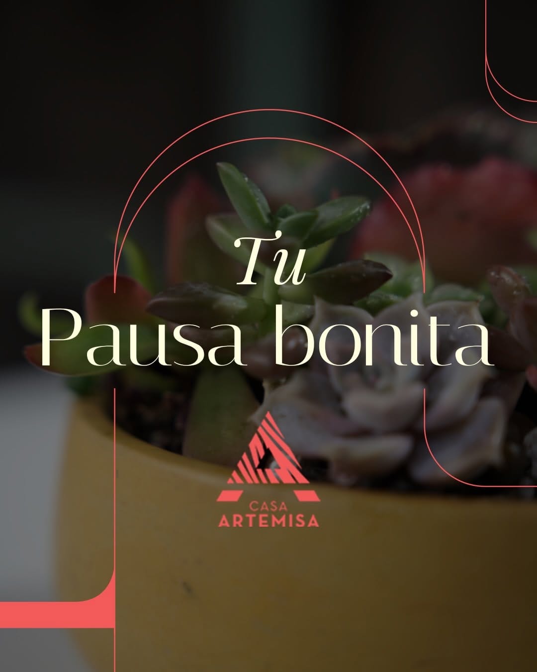 Post 9 by Casa Artemisa®️ on Instagram (carousel)