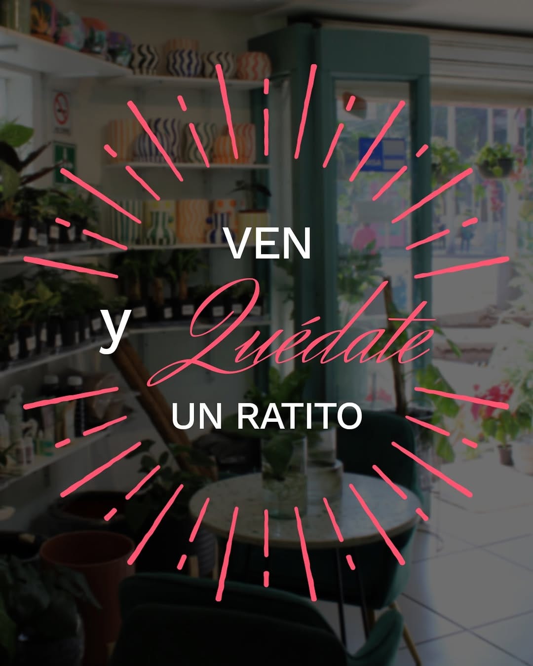 Post 1 by Casa Artemisa®️ on Instagram (image)