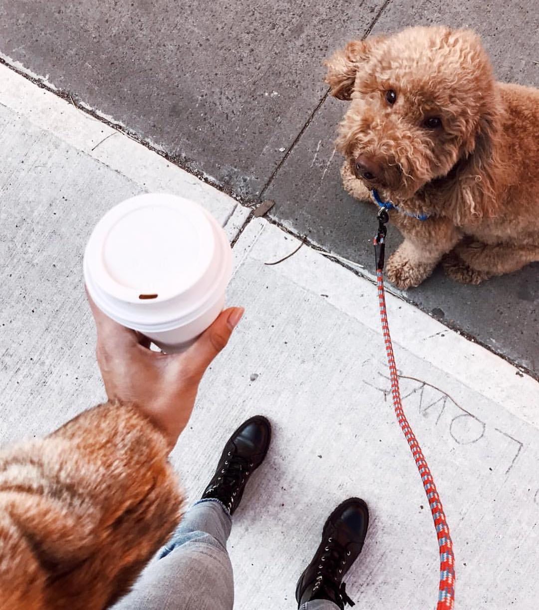 Post 4 by SUD SUD on Instagram (image)