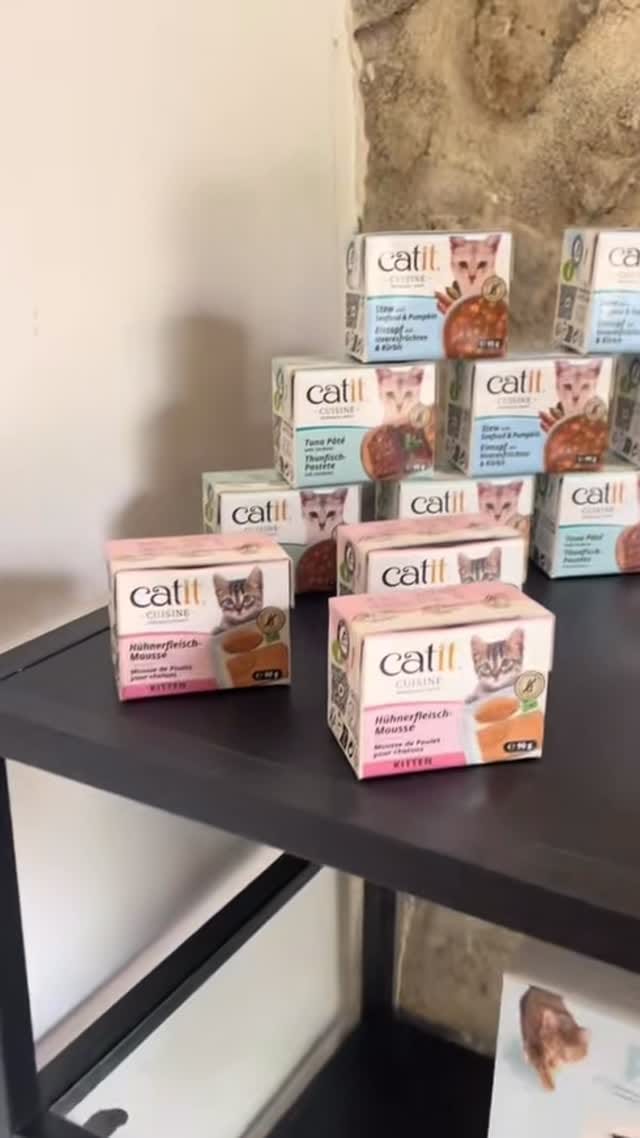 Post 4 by Cullinan Bengal on Instagram (video)