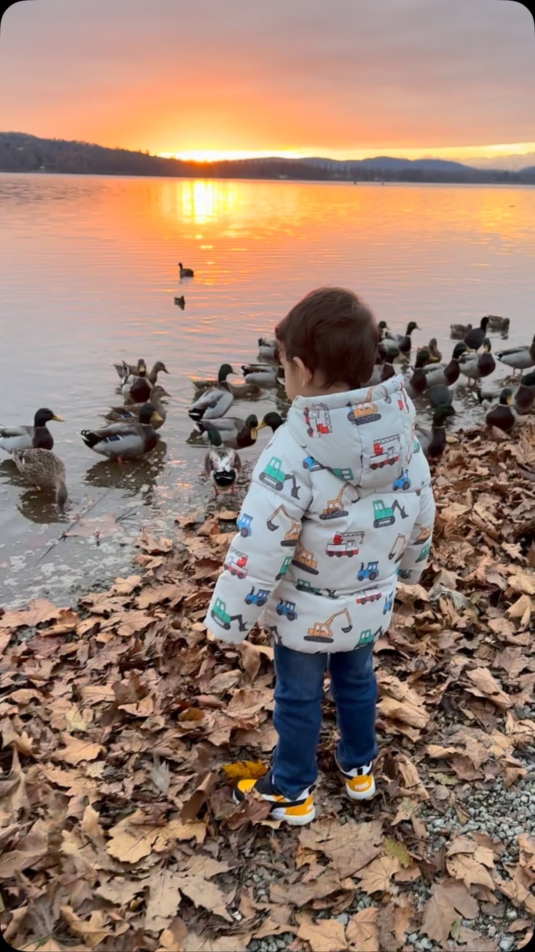 Post 3 by 🧿Tulay Ucar🧿 on Instagram (video)
