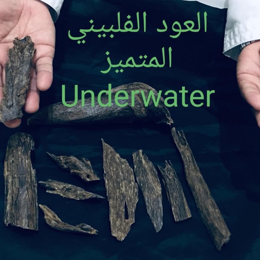 Post 10 by أجود دهن وخشب العود (طبيعي💯) on Instagram (image)