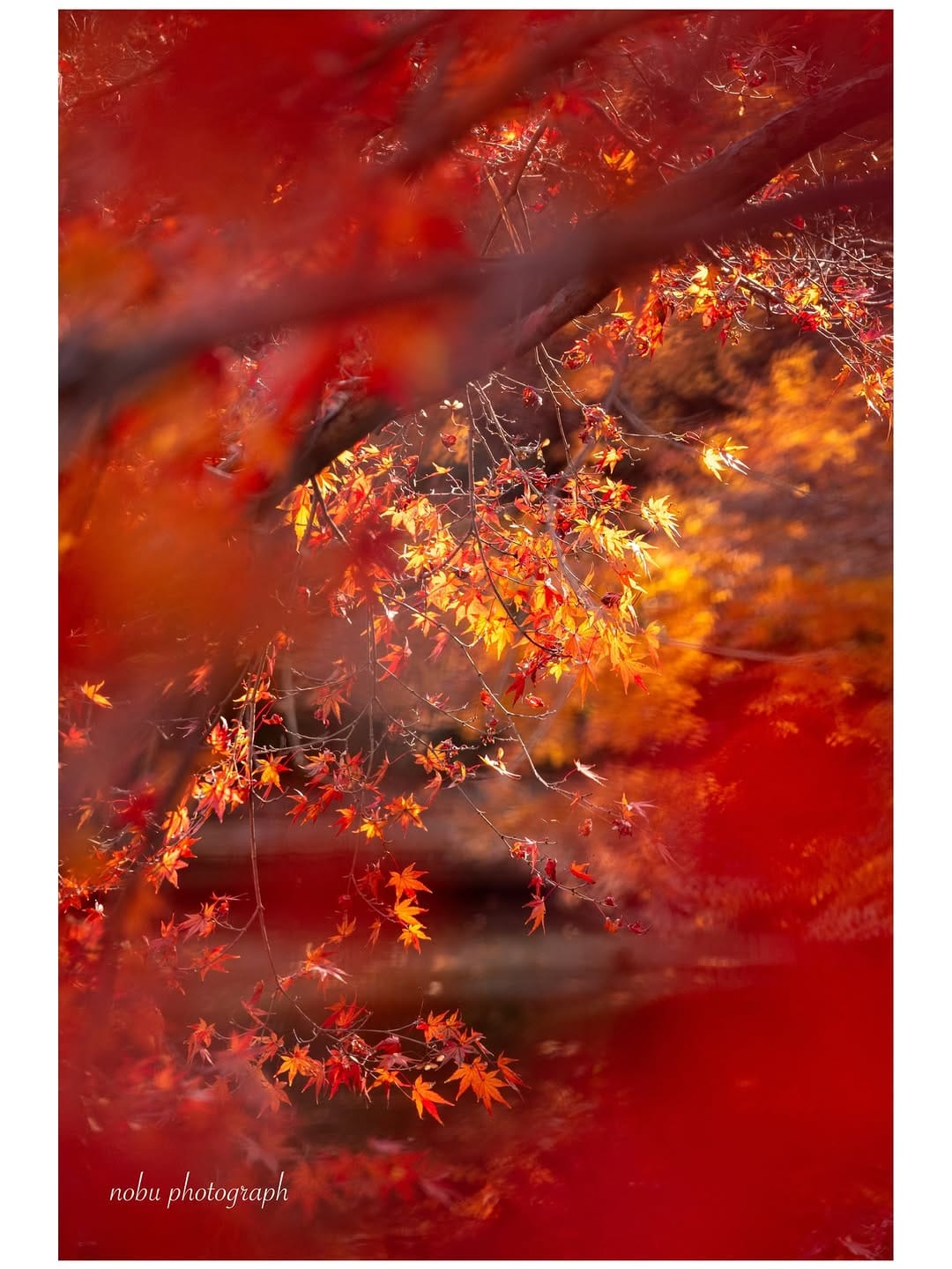 Post 8 by nobu_photo：栃木の風景 on Instagram (carousel)
