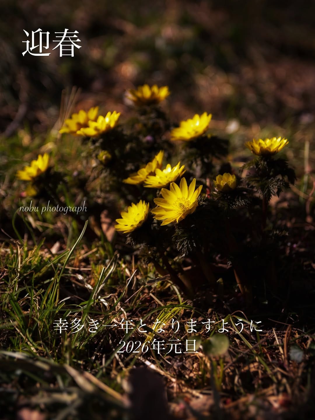 Post 2 by nobu_photo：栃木の風景 on Instagram (image)