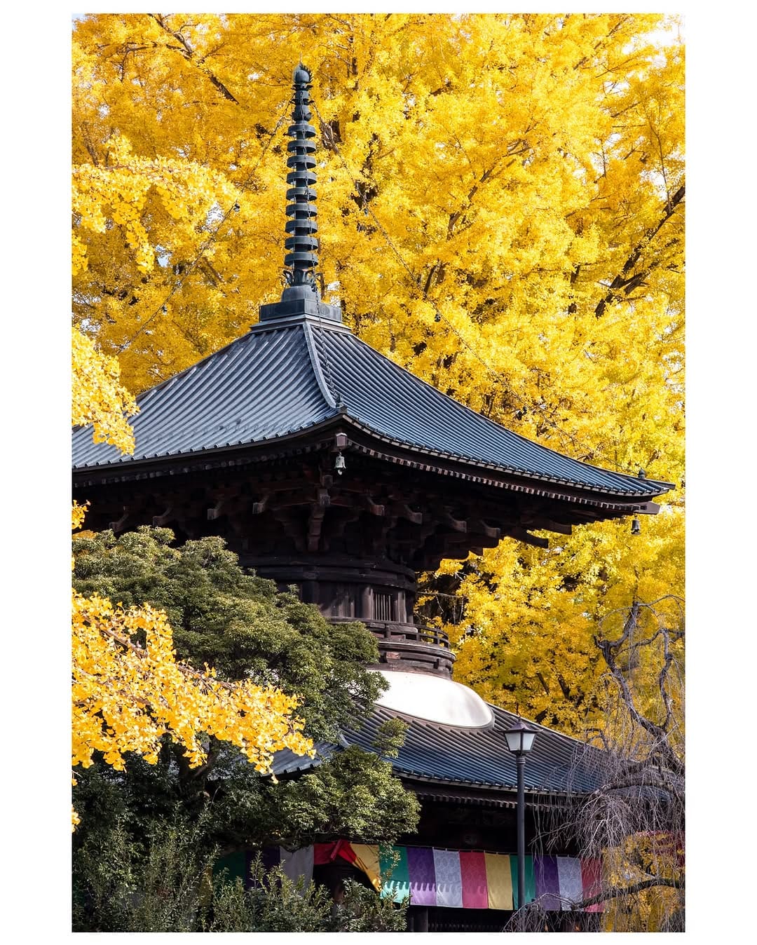 Post 10 by nobu_photo：栃木の風景 on Instagram (carousel)