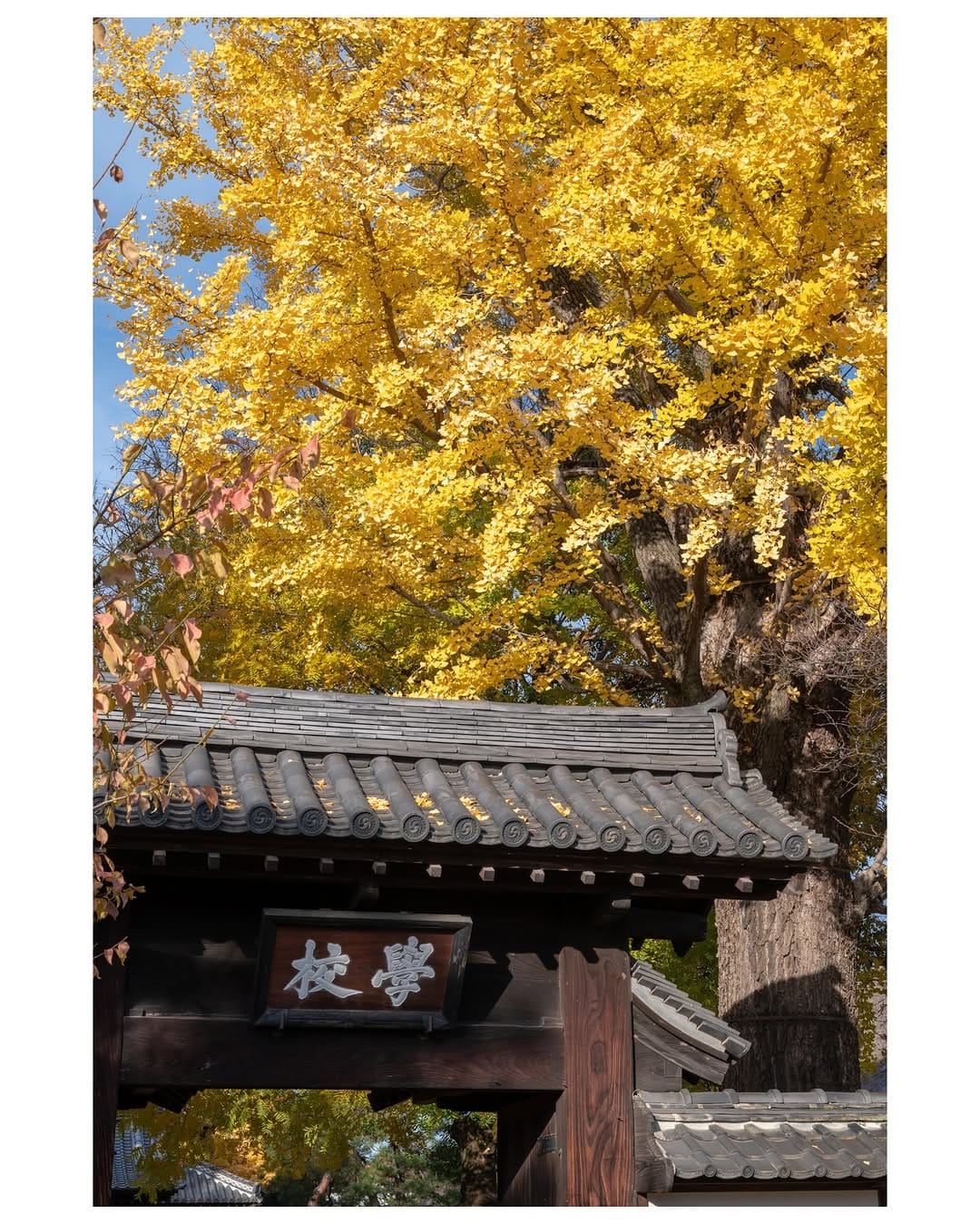 Post 9 by nobu_photo：栃木の風景 on Instagram (carousel)
